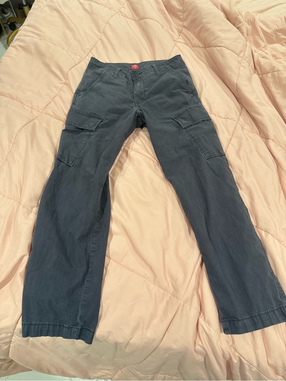 Levi's Dark Gray Cargo Pants with Utility Pockets